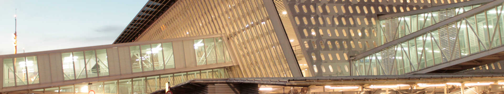 Organisation & Gouvernance